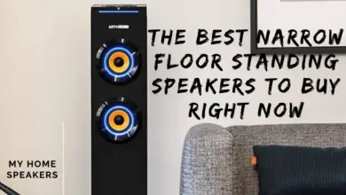 narrow floor standing speakers