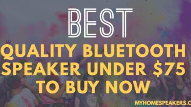 best bluetooth speaker under $75