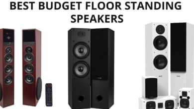 Best budget floor standing speakers