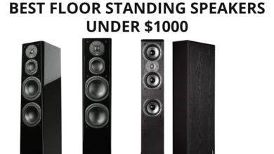 Best floor standing speakers under 1000