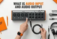 What is Audio Input and Audio Output