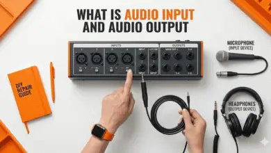 What is Audio Input and Audio Output